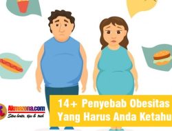 14+ Penyebab Obesitas Yang Harus Anda Ketahui