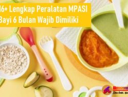 16+ Lengkap Peralatan MPASI Bayi 6 Bulan Wajib Dimiliki
