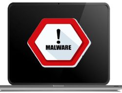 Jangan Sembarangan Instal Windows 11. Malware Berbahaya Bersembunyi!