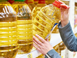 Daftar Harga Minyak Goreng Terbaru Minimarket Maupun Pasar