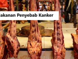 Hati-Hati, Ini 15 Daftar Makanan Penyebab Dan Pemicu Kanker