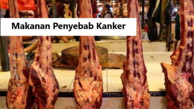 Hati-Hati, Ini 15 Daftar Makanan Penyebab Dan Pemicu Kanker