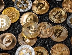 Ingin Sukses Di Masa Depan? Cerdaslah Berinvestasi