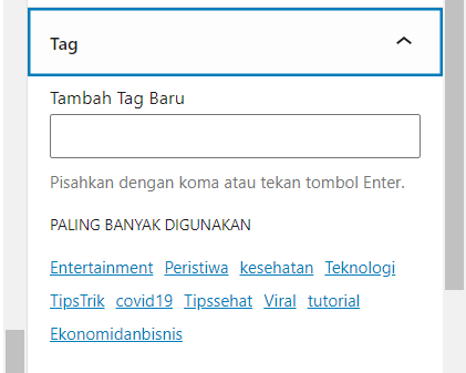 Cara Membuat Postingan Artikel Di WordPress